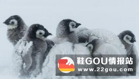 特步企鹅跑520为爱出发“暖心”成武汉站关键词